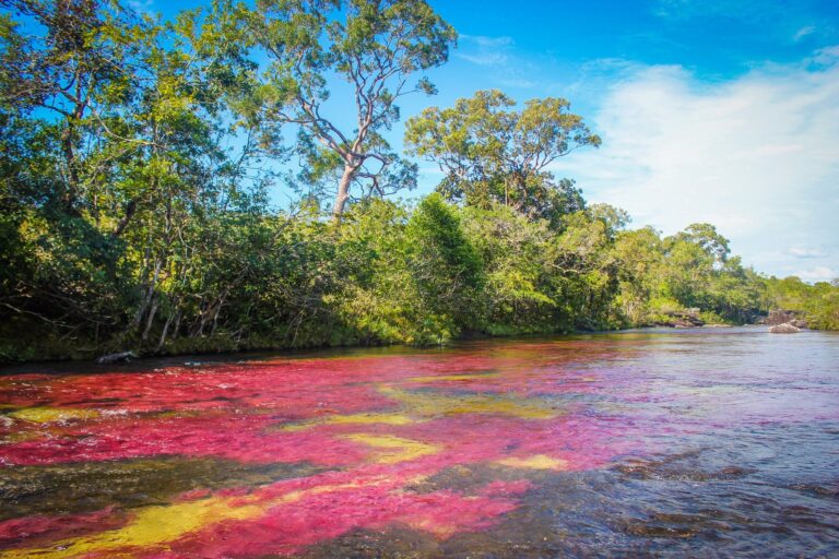 Ruta de Colores y Biodiversidad Macarena